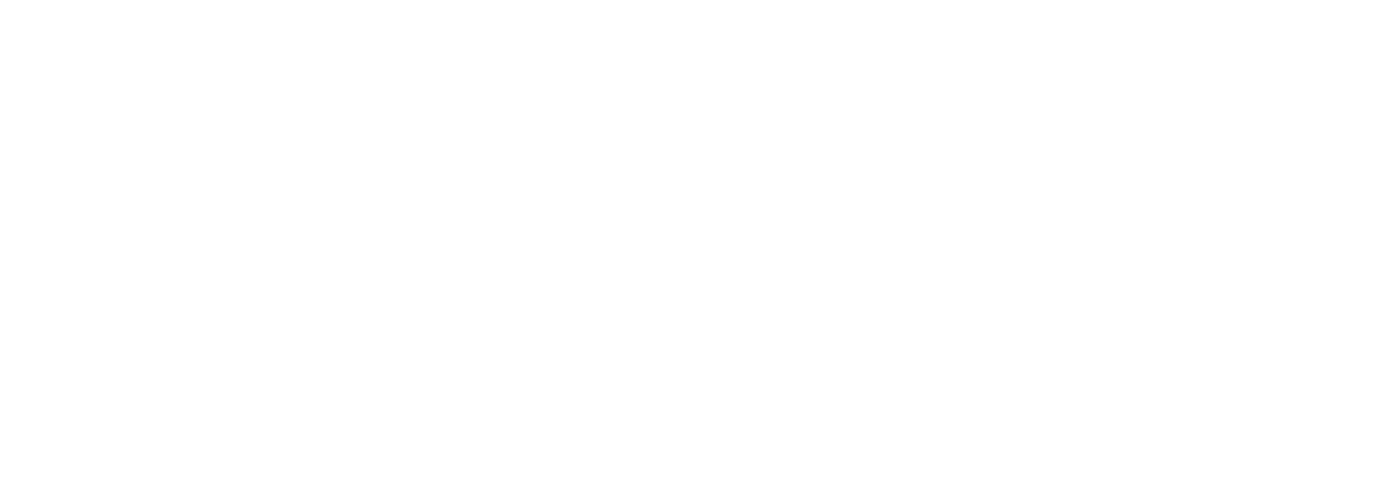 Burgol Racing Technologie | Swiss Motor Sport Development